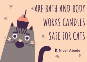 are-bath-and-body-works-candles-safe-for-cats