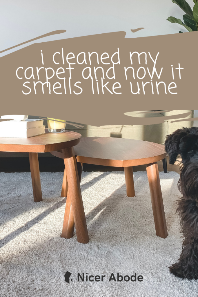 i cleaned my carpet and now it smells like urine