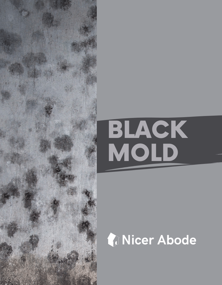 black mold