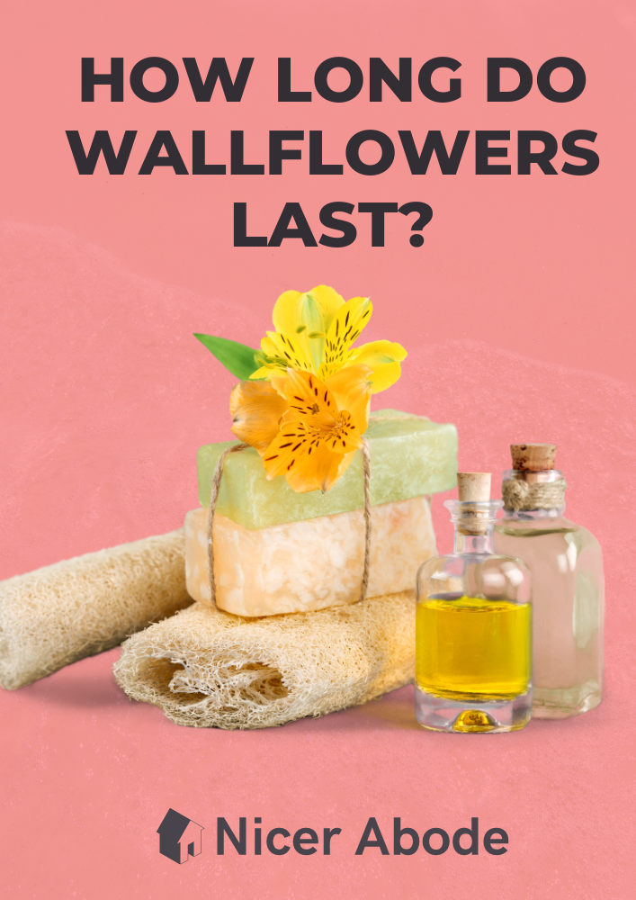 how long do wallflowers last