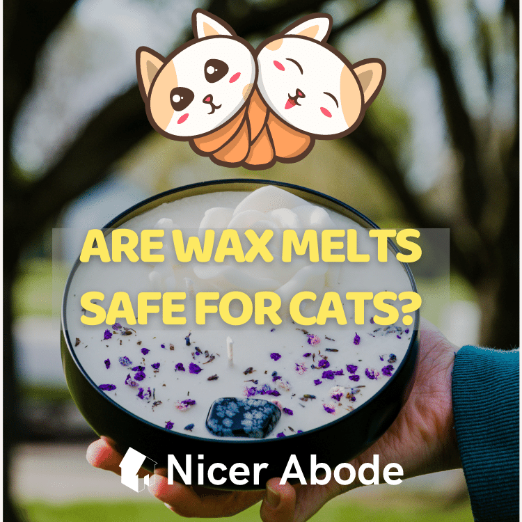 Are Wax Melts Safe for Cats? You'd Think So - NicerAbode.com