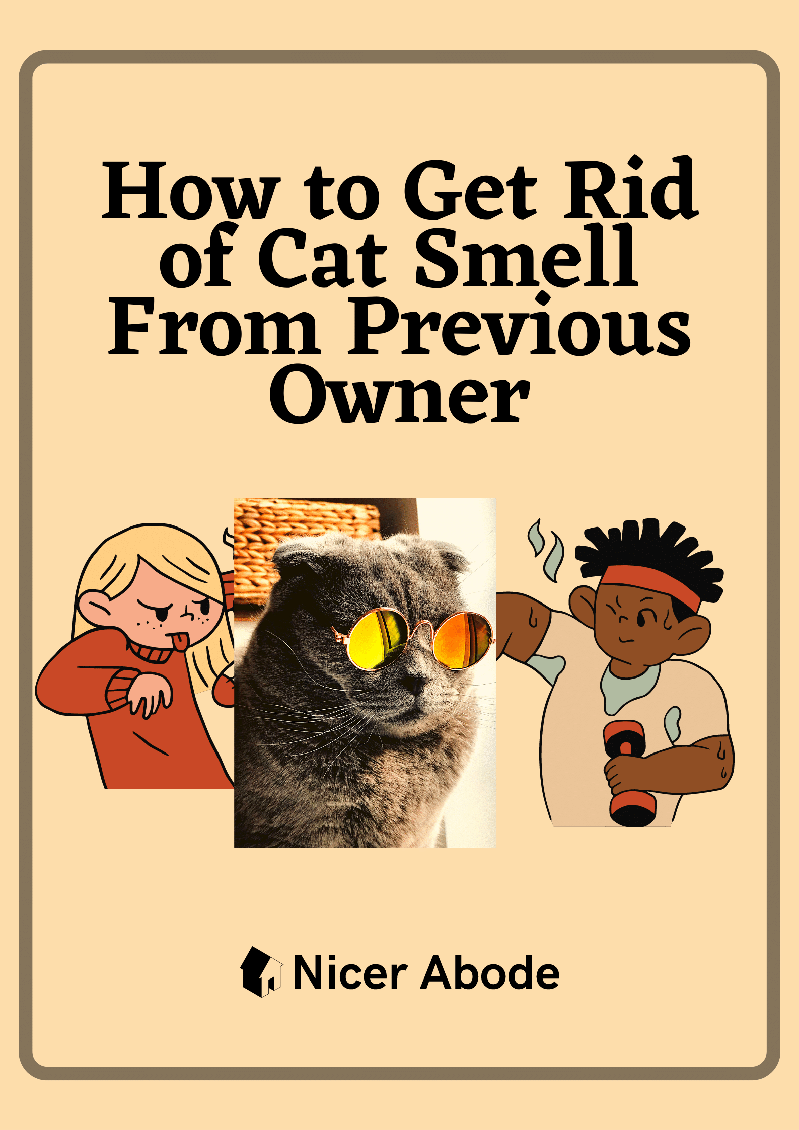 How-to-Get-Rid-of-Cat-Smell-From-Previous-Owner